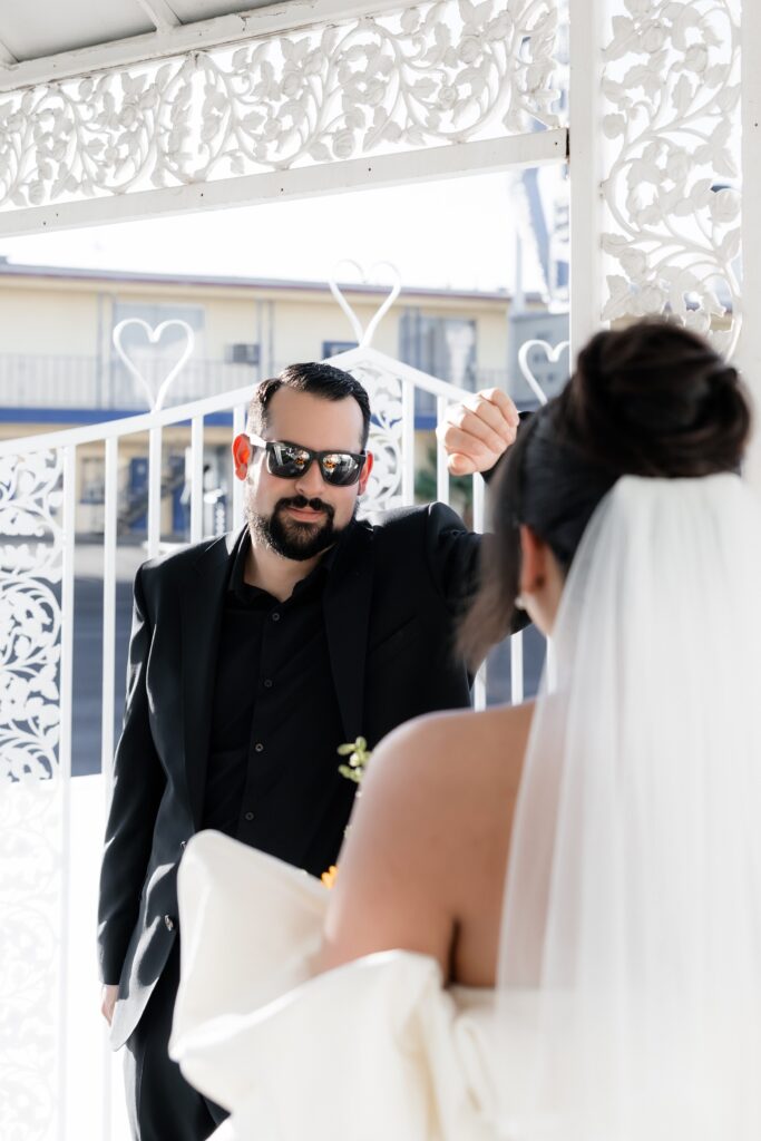 Bride and grooms portraits in Las Vegas