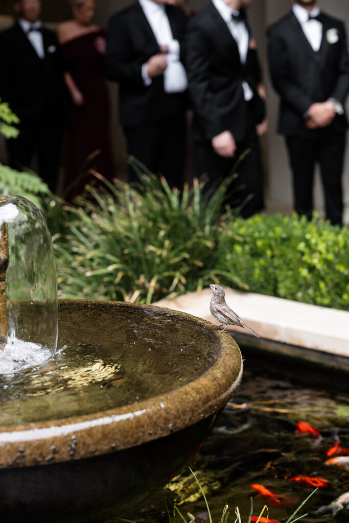 A water fountain at Venus Garden Chapel at Caesars Palace.